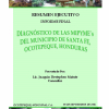 Diagnóstico 1 de las MIPYMEs del municipio de Santa fé Ocotepeque Honduras 2005